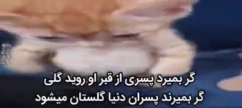 گربه‌ی نارنجی‌رنگی روی پارچه‌ی آبی دراز کشیده و متنی شعرگونه درباره‌ی مرگ پسران و گلستان شدن دنیا روی تصویر است.