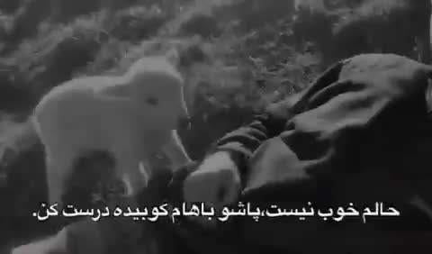 بره‌ای سفید کنار مردی با لباس تیره در علف‌زار قرار دارد؛ متن می‌گوید حالم خوب نیست، پاشو باهام کوبیده درست کن.