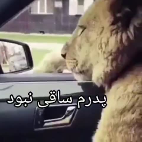 شیری کنار پنجره‌ی ماشین نشسته و متن می‌گوید پدرم ساقی نبود، ولی یک عمر برایمان عرق ریخت.